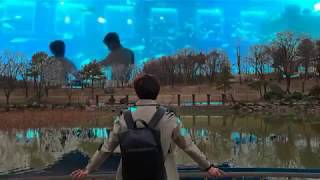 중앙대학교 컴퓨터예술학부 19학번 김동욱 자기소개 영상 과제  (+갤럭시S10 은하씨 이벤트 영상)