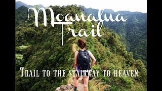 "High" - Vlog 5 - Moanalua Trail to the "Stairway to Heaven"