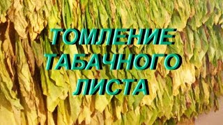 ДНЕВНИК ТАБАКОВОДА № 25 ( 7. 07. Томление табачного листа ) ТАБАК