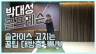 [헤드프로박대성] 슬라이스 교정! 꿀팁 대방출