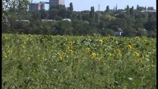 "Візит". Широке (08.09.05)