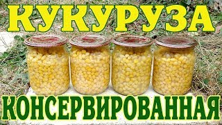 Кукуруза консервированная. Заготовка на зиму.