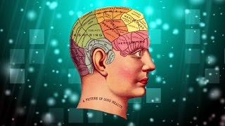 10 NAJDZIWNIEJSZYCH PRAC DLA STUDENTÓW