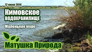 Кимовское водохранилище. Тульская область | Весь берег в жуках