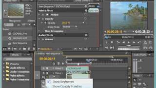 Работа с эффектом прозрачности в Adobe Premiere CS4 (30/39)