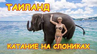 ТАИЛАНД, ПХУКЕТ!!! КАТАНИЕ НА СЛОНАХ!!! ДОЧКА В ВОСТОРГЕ!!!