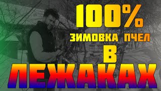 100% зимовка пчел в лежаках на улице.Подготовка зимовки через глухую перегородку 02.10.2019 р.