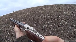 Первый заяц сезона. Открытие охоты на зайца 2017-18г.