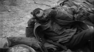 Страшные кадры фашистских зверств  Никто не забыт, ничто не забыто!