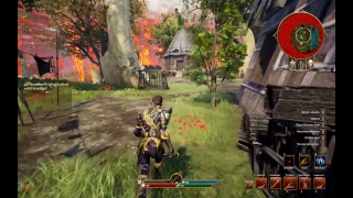Ashes of Creation - играем, тестим, отвечаем на вопросы