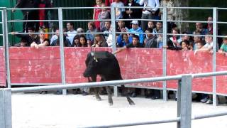 Course camarguaise-féria de Pâques 2011-Arles [HD]