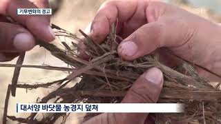 [지금 세계는] 남미 북동부 농경지 덮친 대서양 바닷물…‘환경 재앙’ 현실로 | KBS 뉴스광장 | 20191230