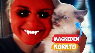 Maskeden Korkan Kediler! | [2018 Derleme]  Eğlenceli Anlar