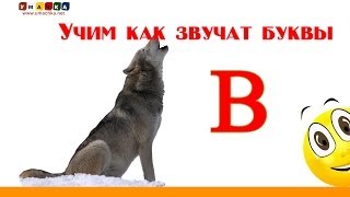 Алфавит русский Учим Буквы и Звуки с Кругляшиком - Буква В