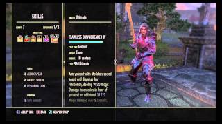 ESO Stamina Templar Build PvP/PvE High DPS