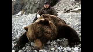 Жесть медведь жертвы.  Осторожность при общении с природой. Tin bear victim.