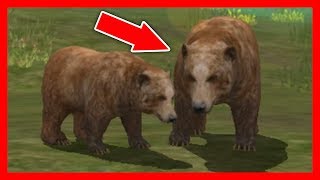 СИМУЛЯТОР МЕДВЕДЯ охотимся НА ЖИВОТНЫХ ДИКАЯ ПРИРОДА в Bear Simulator
