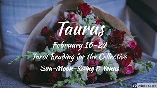 TAURUS FEBRUARY 16-29 "BEING SWEPT OFF YOUR FEET...SURPRISE! THAT'S AMORE"