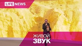 Mr. Credo "Чудная долина"