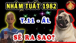 Tử Vi Tháng 11 ÂL Nhâm Tuất 1982 SẼ RA SAO? May Mắn Giàu Có Hay Vận Hạn Như Thế Nào?