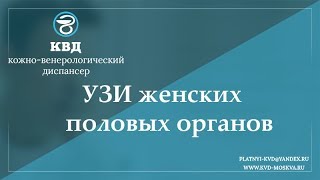 753  УЗИ женских половых органов