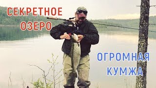 В этом озере ОГРОМНАЯ РЫБА! Вот это рыбалка! Трофейная кумжа, окунь, щука! 4k