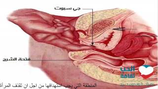 شاهدوا كيف يمكنكم أن تجعلوا أي امرأة تقذف السائل المنوي مثل الشلال   أغرب مما تتصور