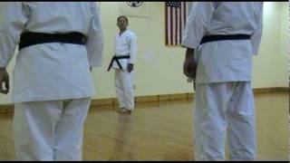 Traditional Shotokan Karate Heian Godan 3