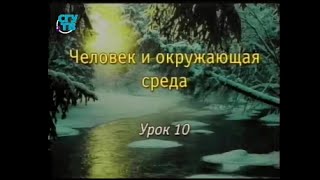 Урок 10. Мир антропогенных биоценозов