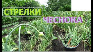 Стрелки ЧЕСНОКА я удаляю только для этого