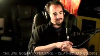 Peter Joseph talks 'The Zeitgeist Movement' with Joe Rogan - January 6, 2012