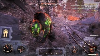 Fallout 76: убить Яогая из инъектора.