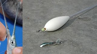 Belone Fishing - Ψάρεμα Ζαργάνας με Μπομπάρδα