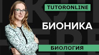 Бионика | История Эйфелевой башни и других изобретений.