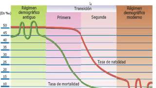 Modelo transición demográfica