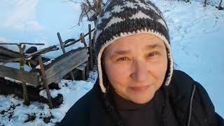 Содержание овец зимой. Keeping sheep in winter