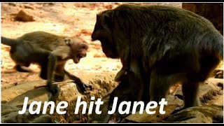 Wow | Mom JANE give lesson to Janet to stop request milk cos she can find milk by her self