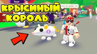 НОВАЯ ОБНОВА В АДОПТ МИ! КРЫСЫ ПАНДА И КУЧА ТРАТ! ?LUNAR? Adopt Me!