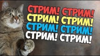 ЧУНЯ LIVE ❆ СТРИМ 1.02.2020