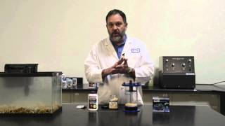 DrTim's Aquatics NP-Active Pearls   How to Use