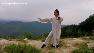 Tai He Quan - Master Chen Shiyu