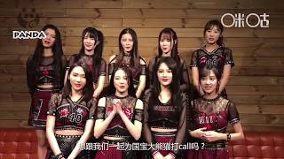 “群星汇聚”蔡依林邓紫棋SNH48等全民助力国宝大熊猫文化升级
