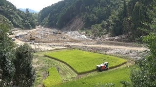 豪雨被害でわずかに残った田んぼの稲刈り　福岡・朝倉市