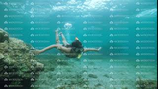 A female snorkeler swimming underwater in the deep blue ocean full of corals.