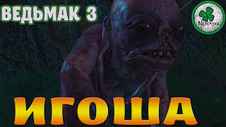 Прохождение Ведьмак 3 : Дикая Охота | Игоша и Чур #13