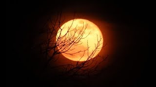 Восход КРАСНОЙ ЛУНЫ / Red Moon