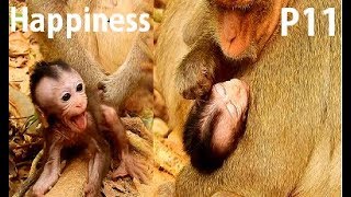 Finally !!! Cameraman help Lola escape to mother| Lola get milk till fall asleep in warm chest.