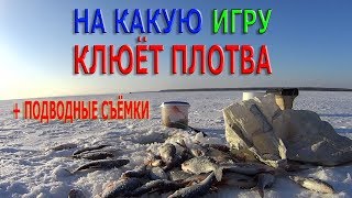 На какую ИГРУ КЛЮЁТ ПЛОТВА на КРАШЕНОЕ ВЫМЯ ( + подводные съёмки )