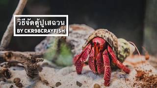 EP 1 # วิธีเลี้ยงปูเสฉวนบก - วิธีจัดตู้ปูเสฉวนบกง่ายๆ ปูอยู่ได้จริง (อ่านบทความใต้คลิบ)