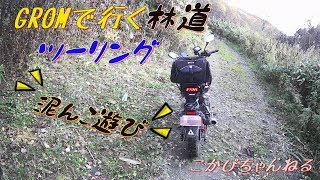 GROMで行く林道ツーリング スクーターもオフ車ですｗ【モトブログ】